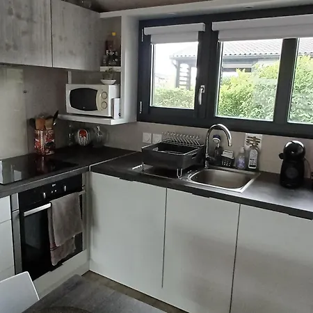 En Bois 3 Dans Domaine Securise Avec Piscine Chauffee - Fr-1-783-13 Alpesi faház
